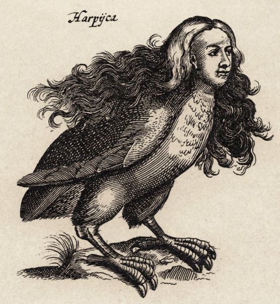 line etching, half eagle, half human Harpy